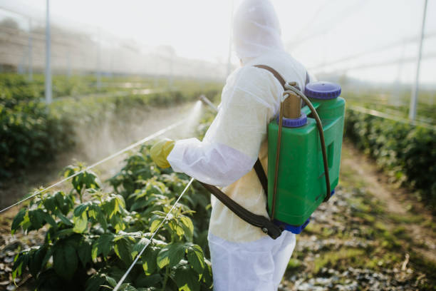 Insect Control in Richwood, NJ
